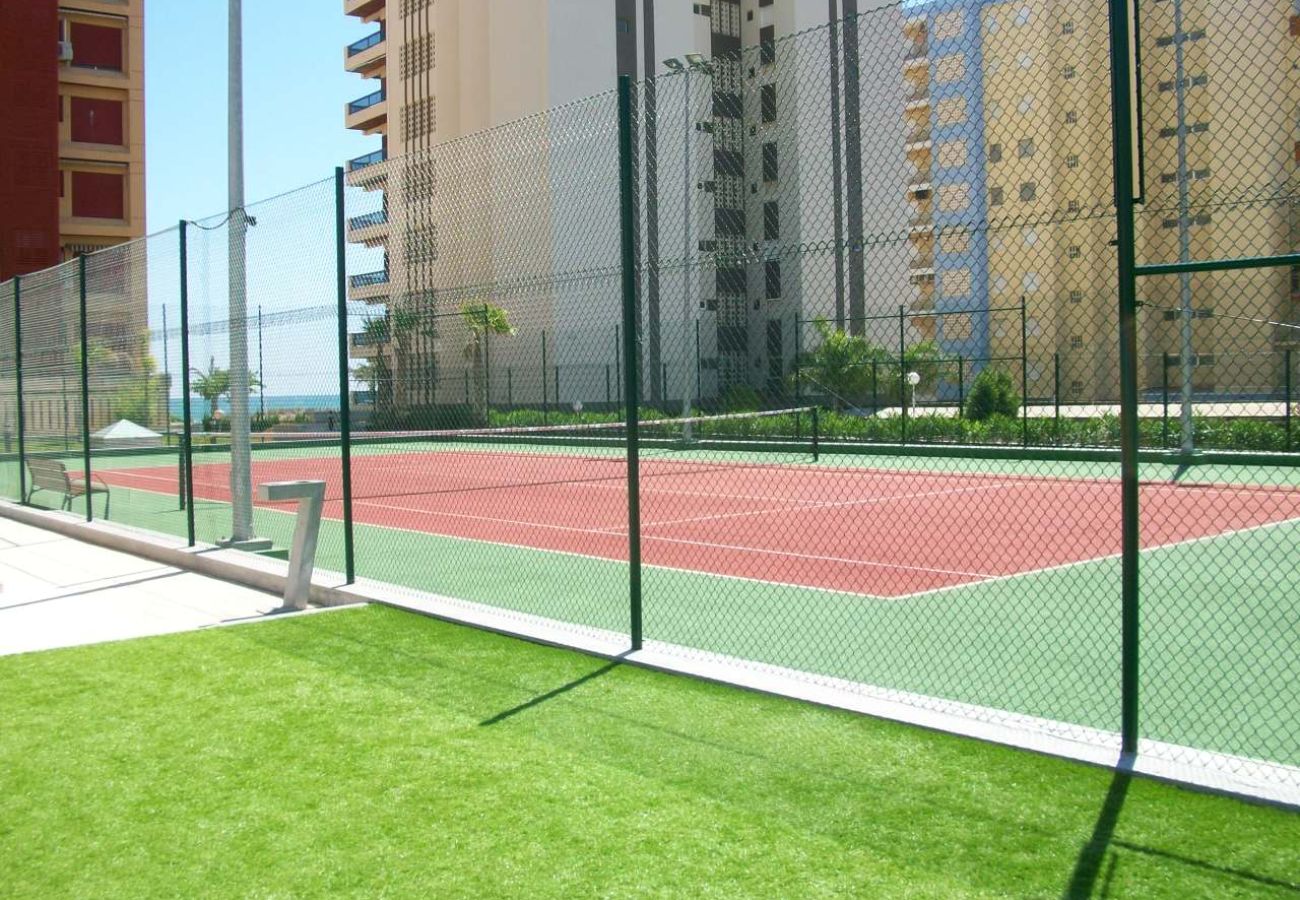 Apartamento en Gandia - BERMUDAS 5ª - 6º - I    /  PLAYA DE GANDIA