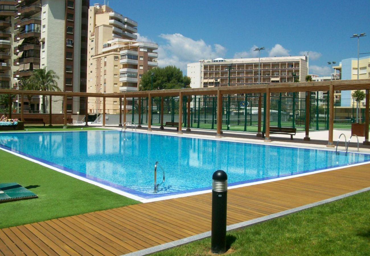 Apartamento en Gandia - BERMUDAS 5ª - 6º - I    /  PLAYA DE GANDIA