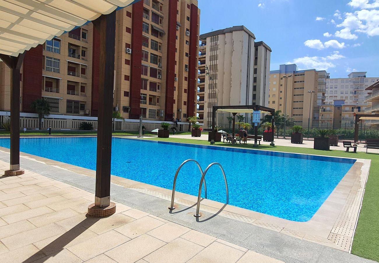 Apartamento en Gandia - BERMUDAS 5ª - 6º - I    /  PLAYA DE GANDIA