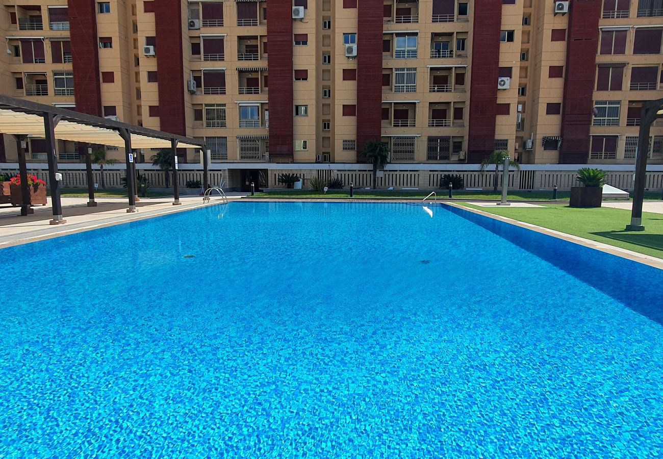Apartamento en Gandia - BERMUDAS 5ª - 6º - I    /  PLAYA DE GANDIA