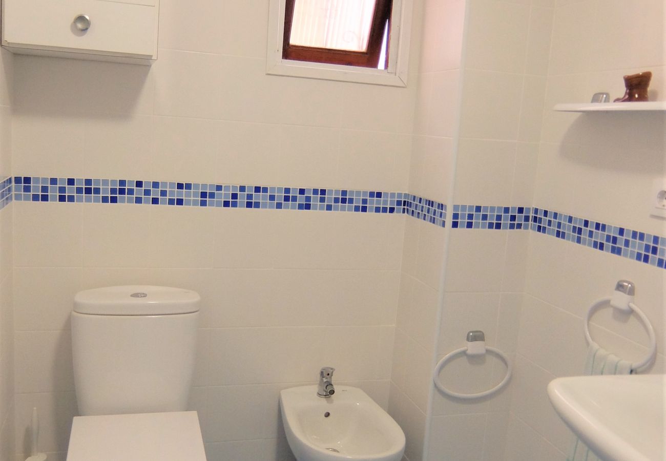 Apartamento en Gandia - BONAIRE H - 1º    /    PLAYA DE GANDIA