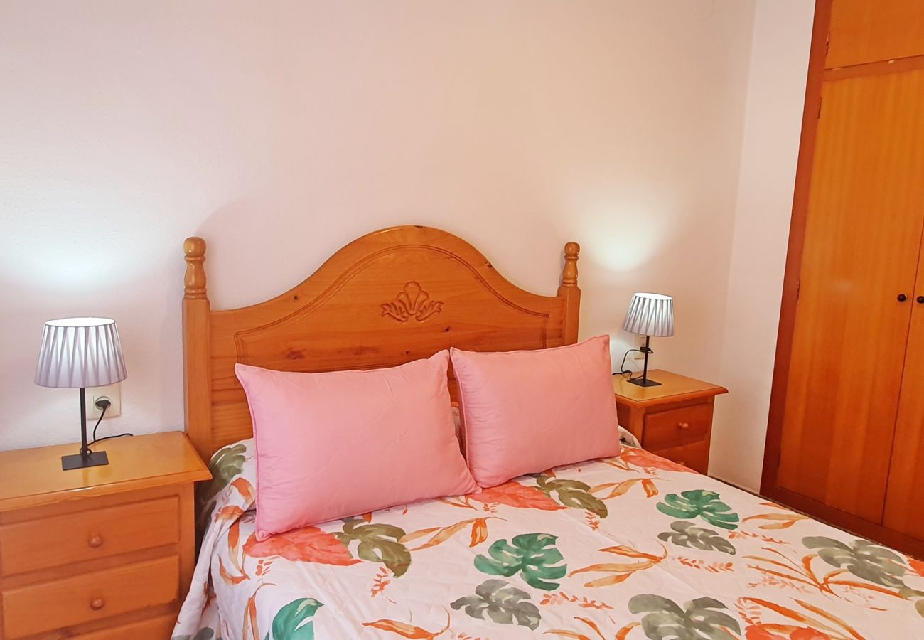 Apartamento en Gandia - CANCUN VII - 2ª - 1º - D    /   PLAYA DE GANDIA