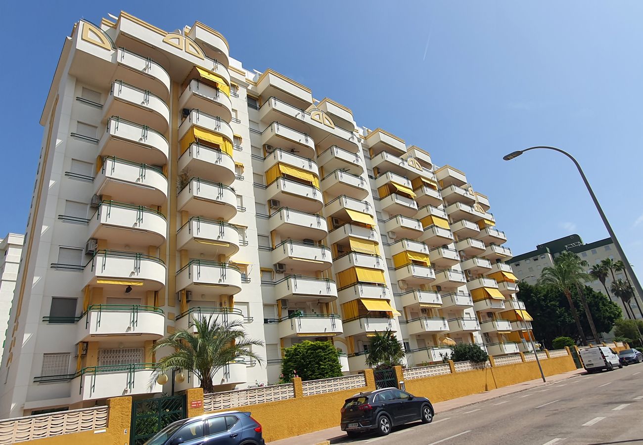 Apartamento en Gandia - CANCUN VII - 2ª - 1º - D    /   PLAYA DE GANDIA