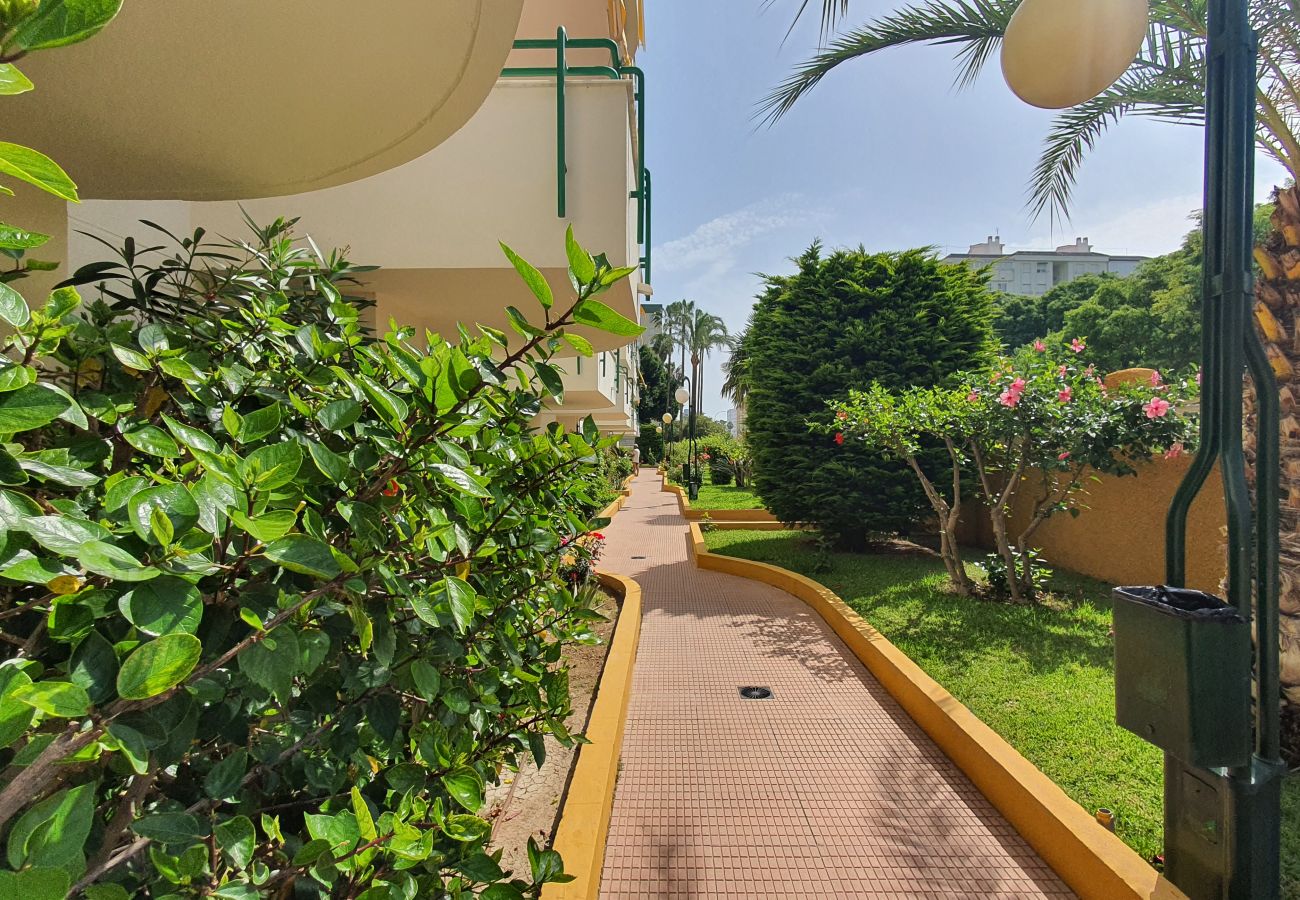 Apartamento en Gandia - CANCUN VII - 2ª - 1º - D    /   PLAYA DE GANDIA