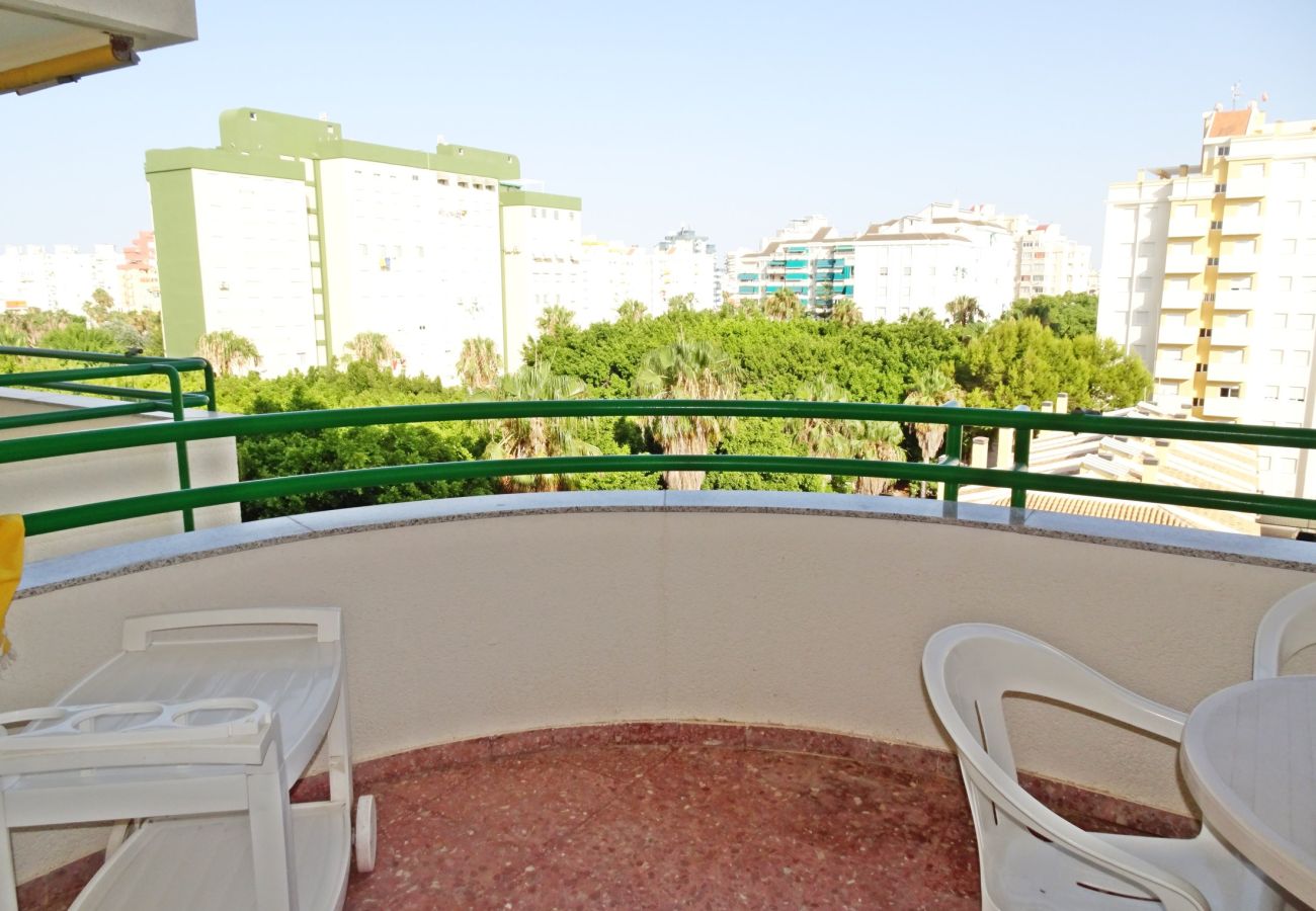 Apartamento en Gandia - CANCUN VII - 1ª - 6º - 11    /    PLAYA DE GANDIA