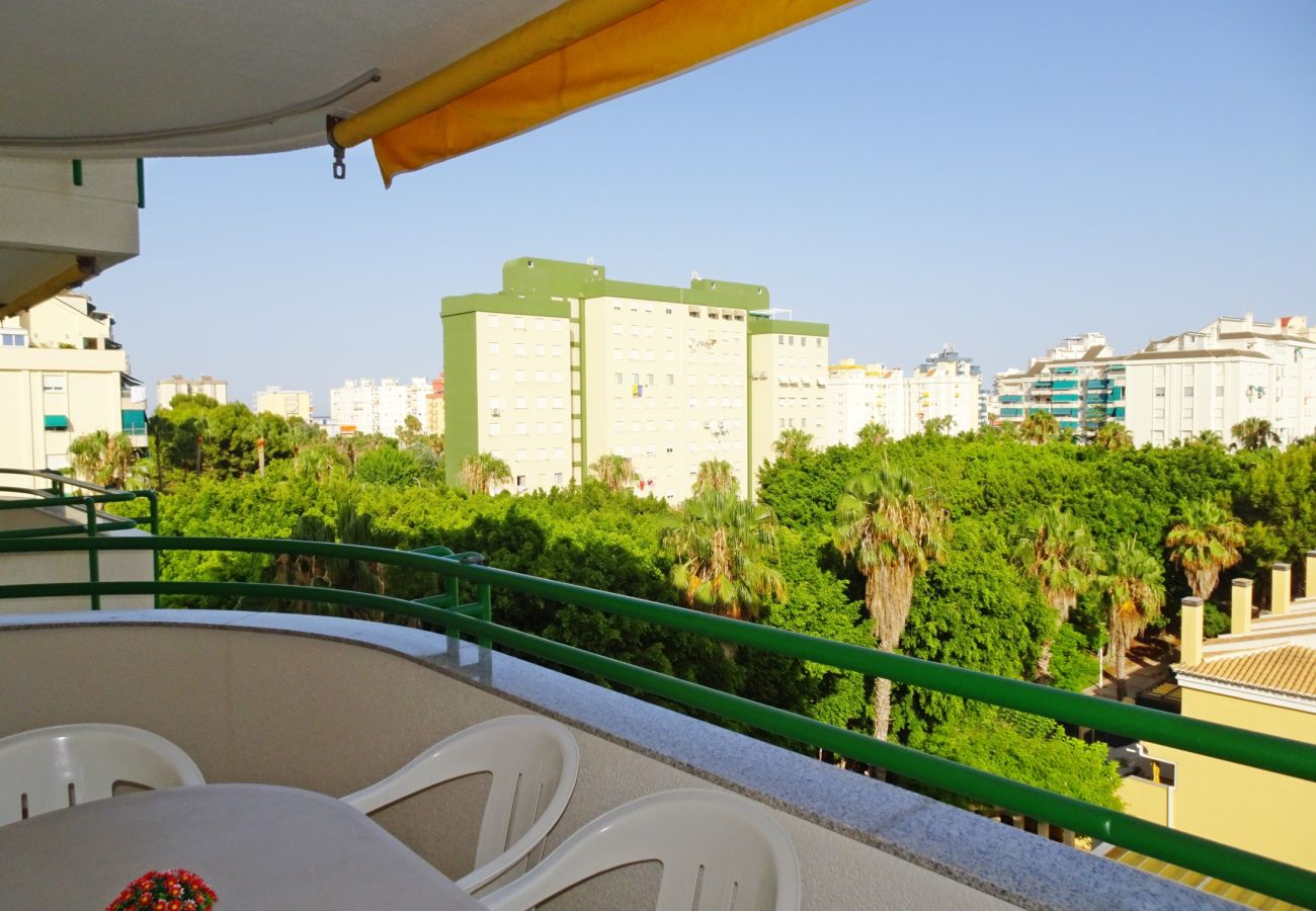 Apartamento en Gandia - CANCUN VII - 1ª - 6º - 11    /    PLAYA DE GANDIA