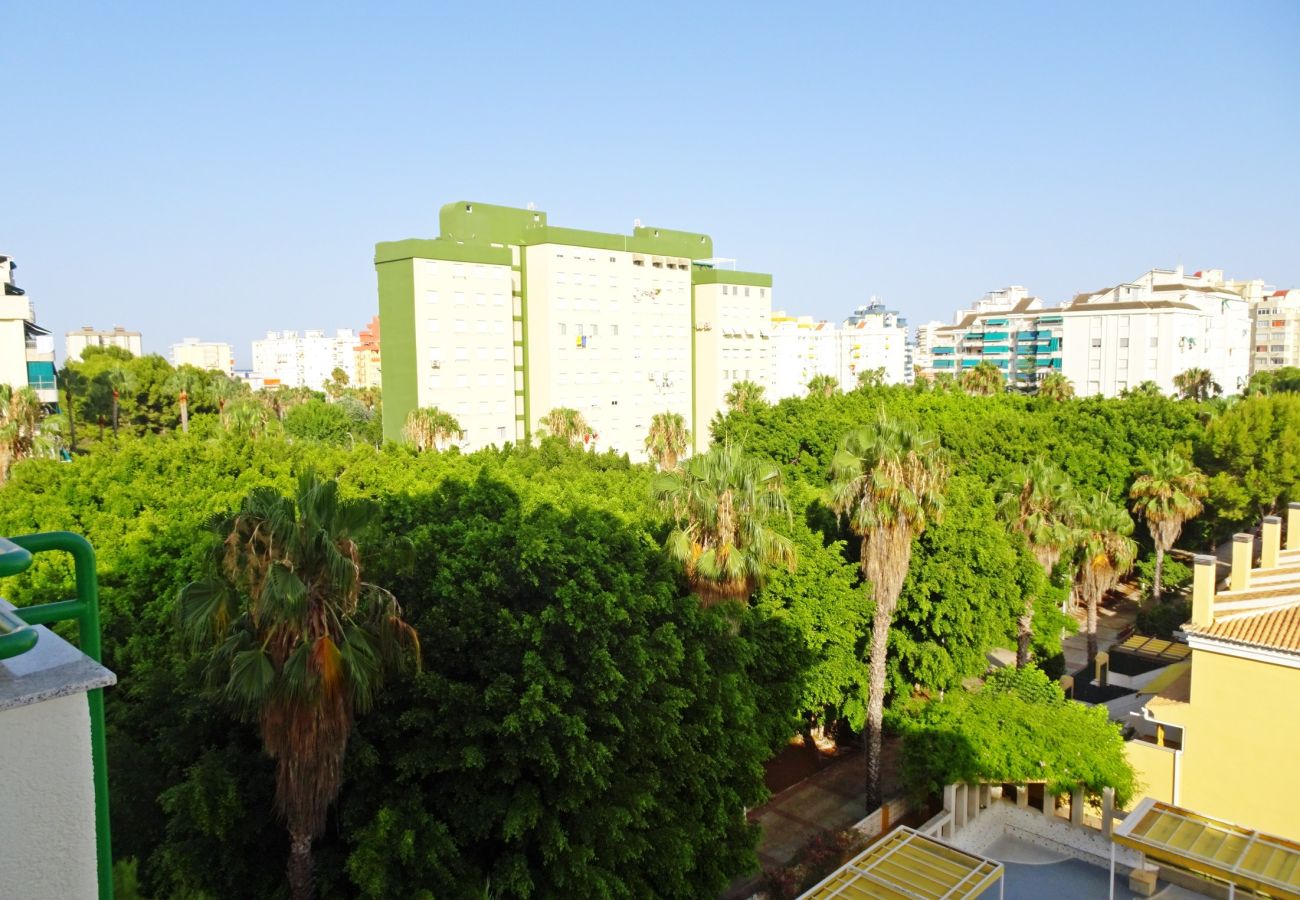 Apartamento en Gandia - CANCUN VII - 1ª - 6º - 11    /    PLAYA DE GANDIA