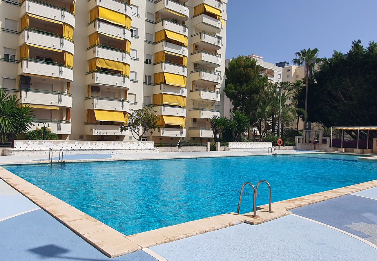 Apartamento en Gandia - CANCUN VII - 1ª - 6º - 11    /    PLAYA DE GANDIA