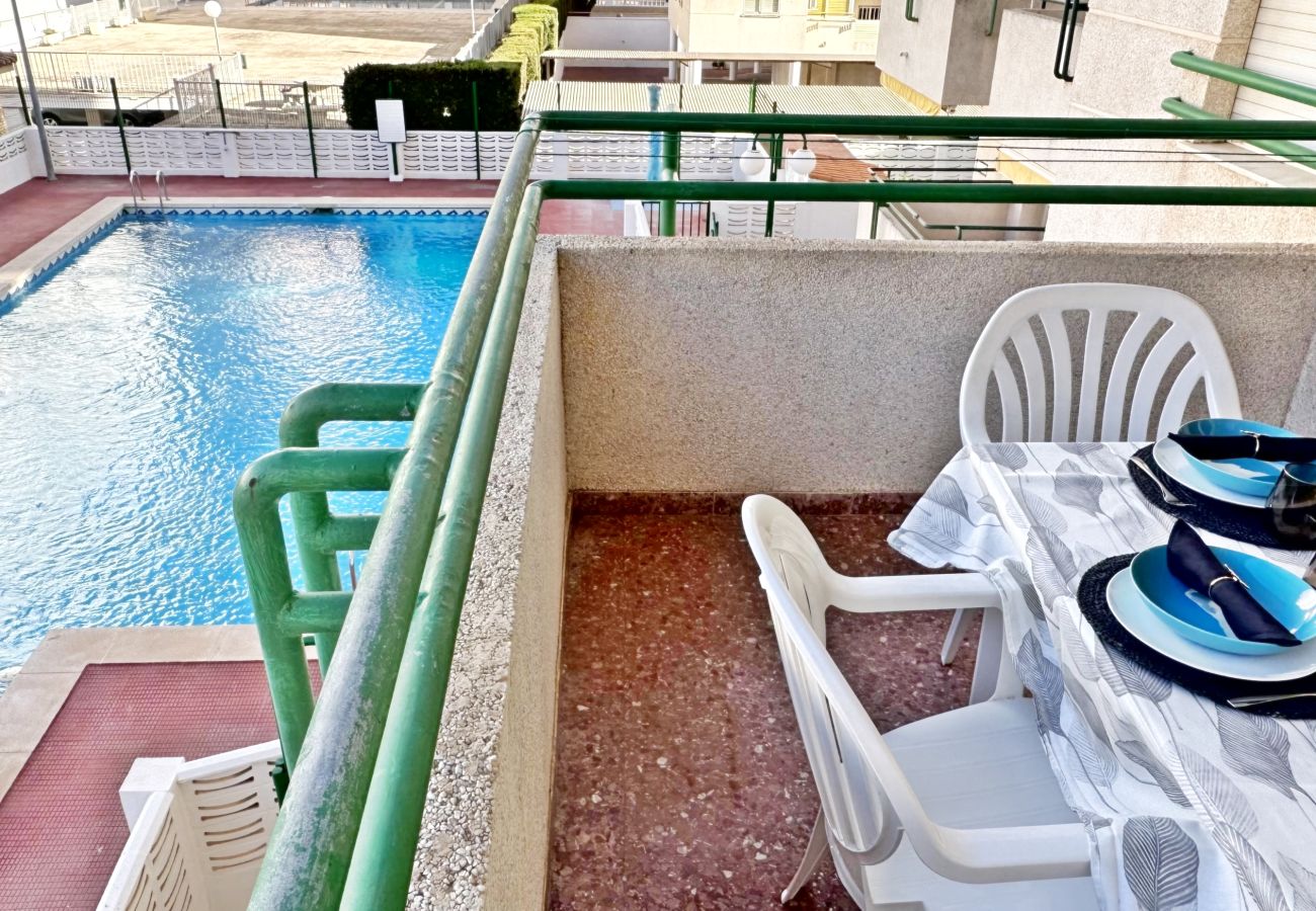Apartamento en Gandia - CANCUN VI - 2ª - 2º - C   /   PLAYA DE GANDIA