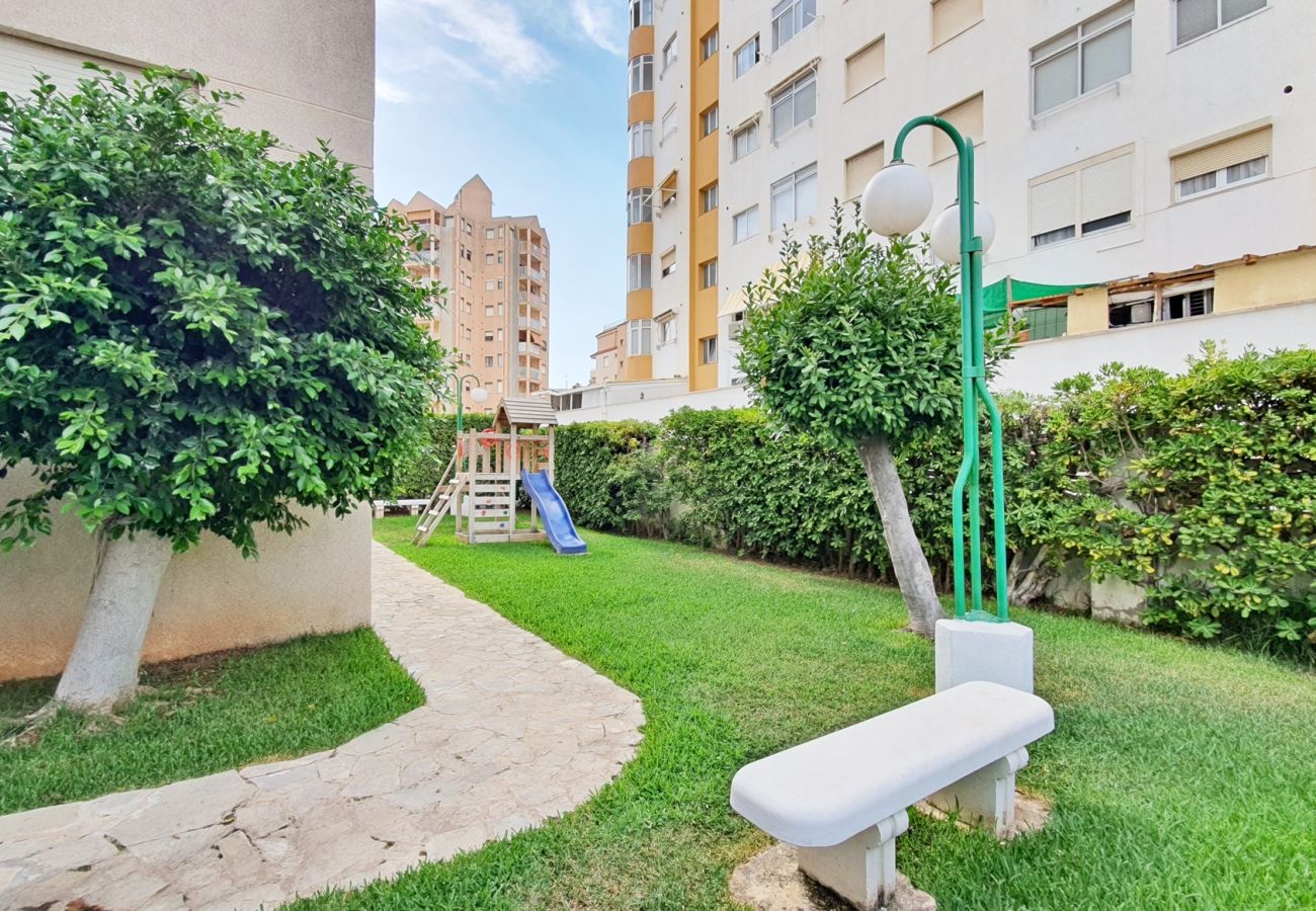 Apartamento en Gandia - CANCUN VI - 2ª - 2º - C   /   PLAYA DE GANDIA