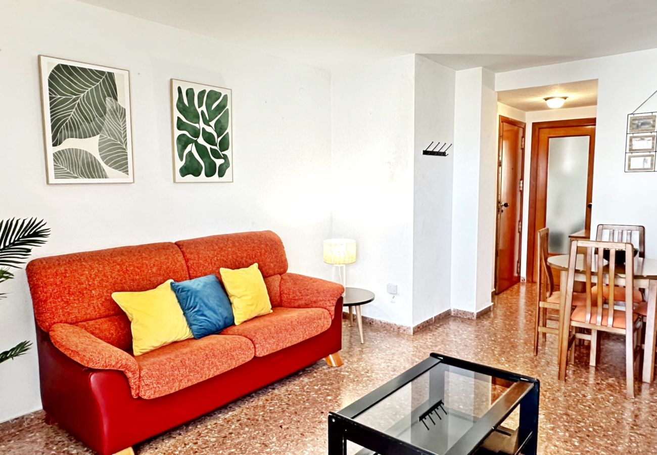 Apartamento en Gandia - CANCUN VI - 3ª - 3º - 8    /   PLAYA DE GANDIA
