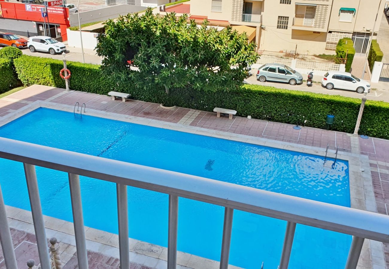 Apartamento en Gandia - CANTABRIA 3º - 36ª    /   PLAYA DE GANDIA