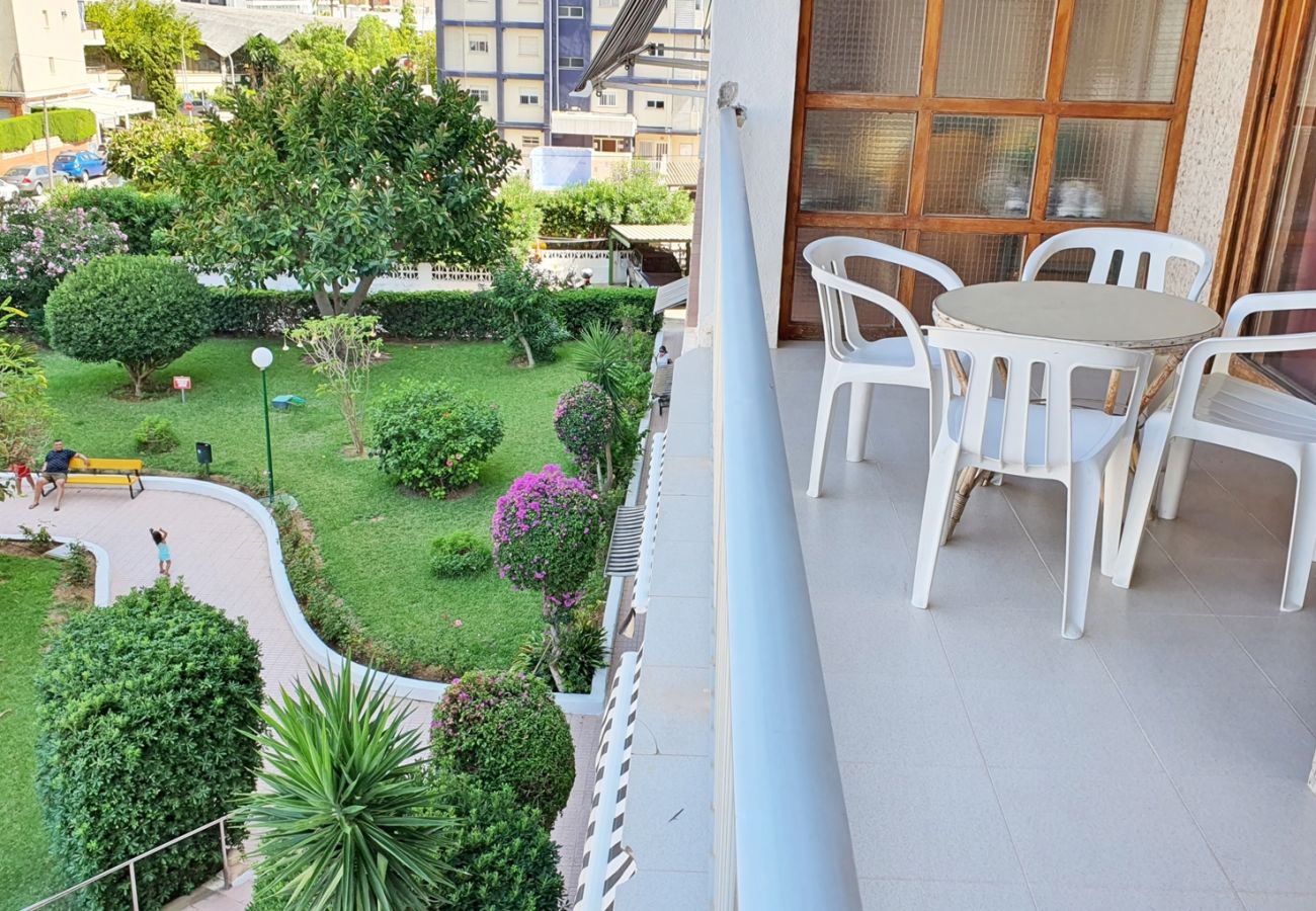 Apartamento en Gandia - CANTABRIA 3º - 36ª    /   PLAYA DE GANDIA