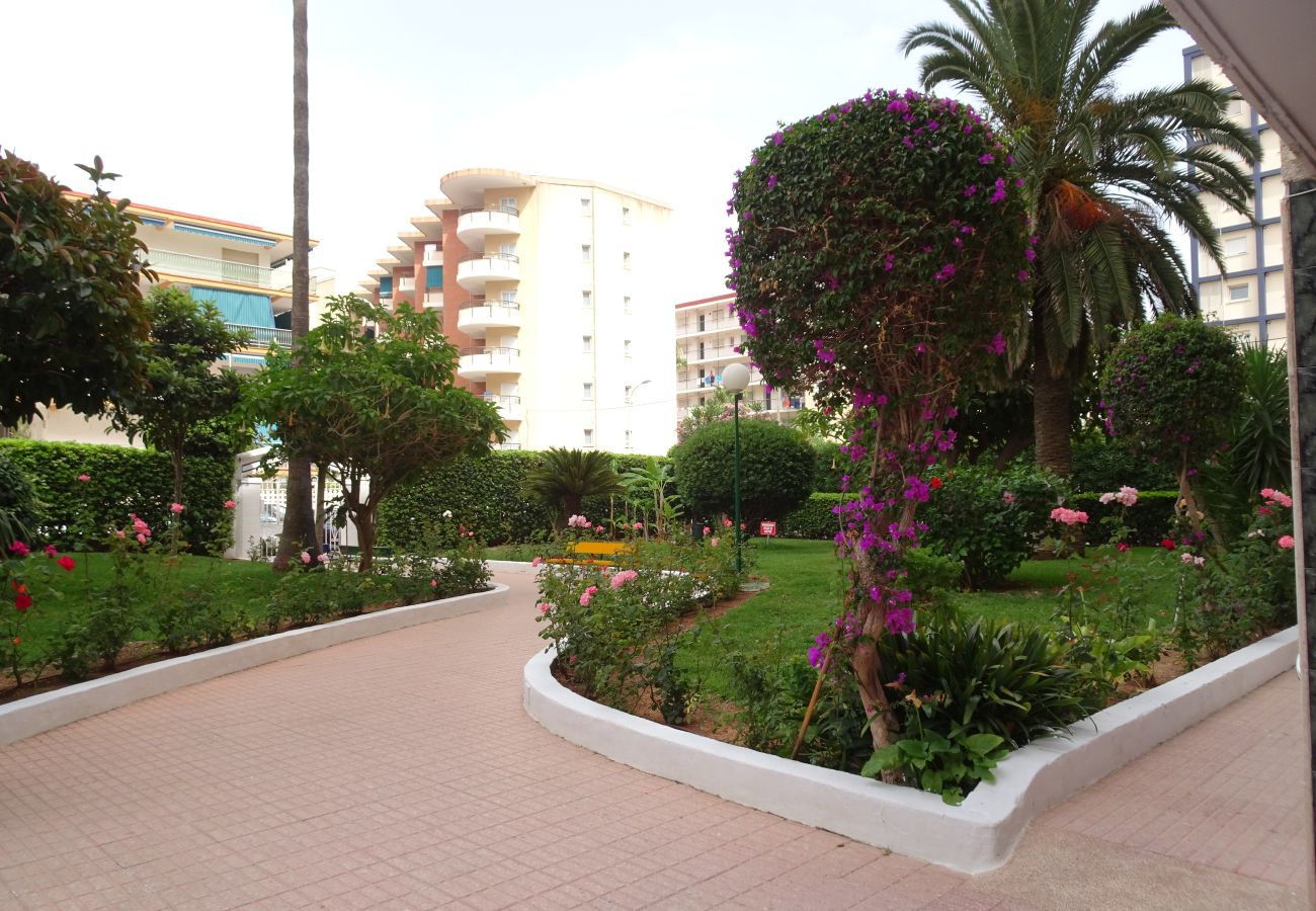 Apartamento en Gandia - CANTABRIA 3º - 36ª    /   PLAYA DE GANDIA