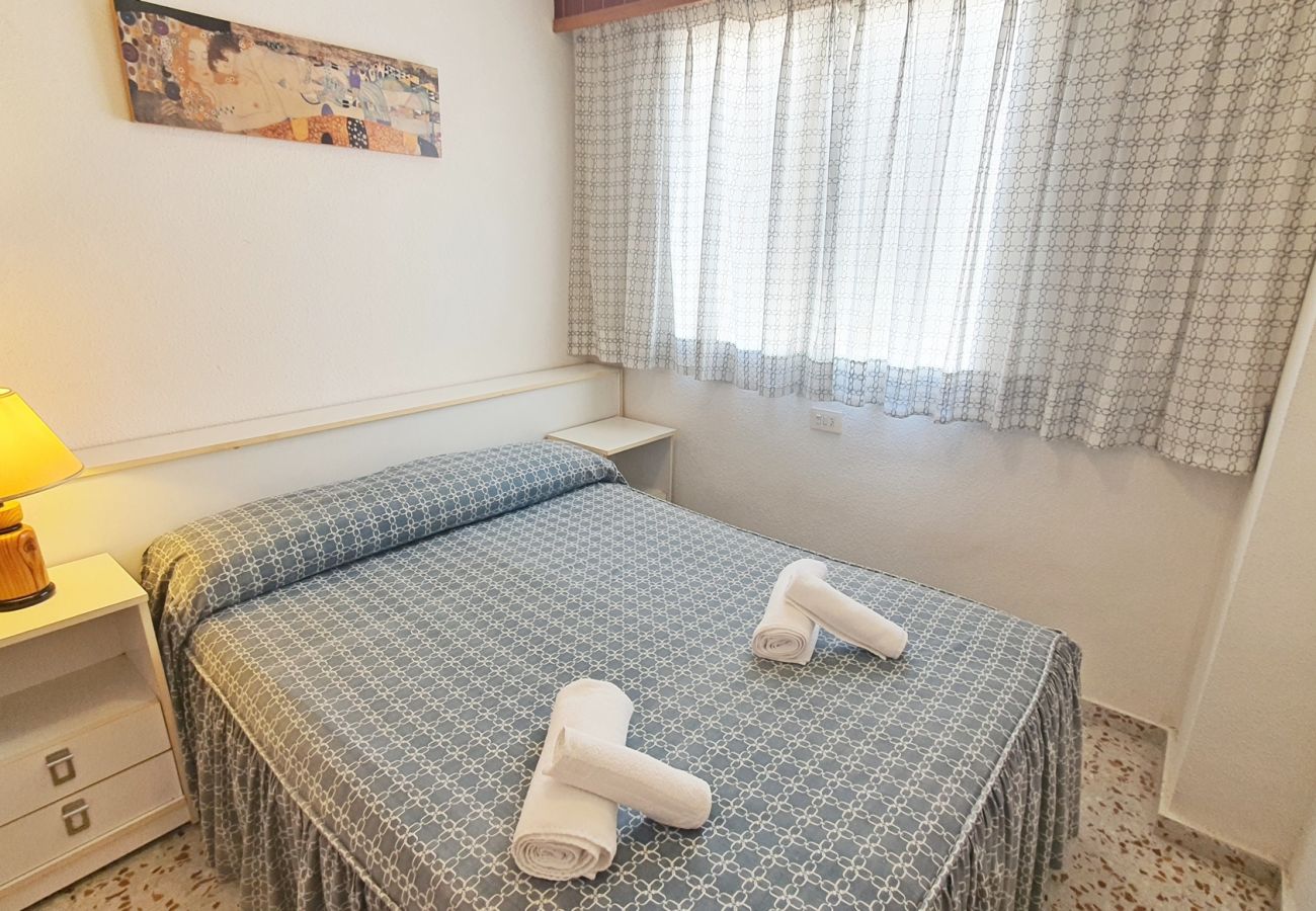 Apartamento en Gandia - ROMA XI - 2ª - 2º - 4ª   /    PLAYA DE GANDIA