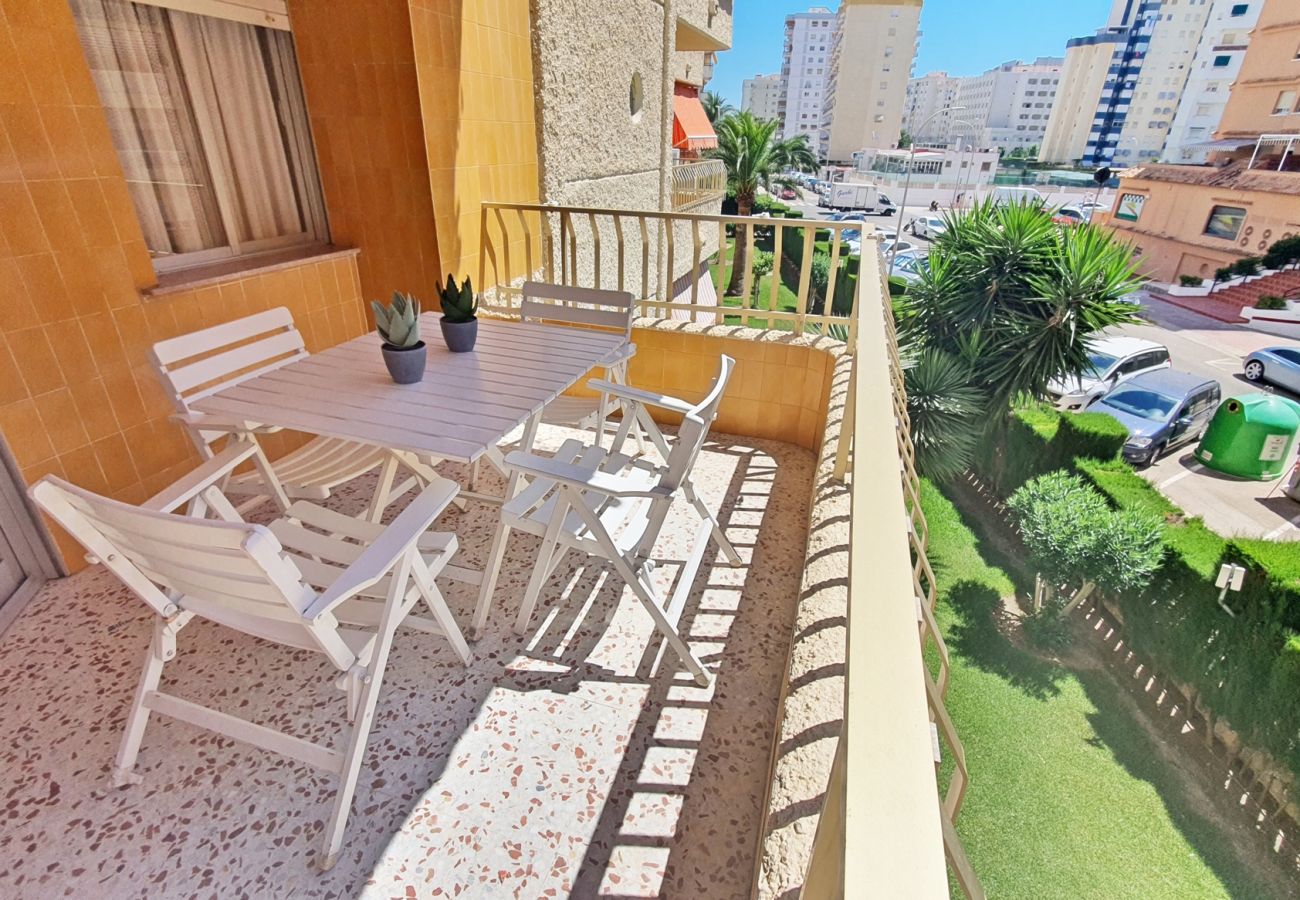 Apartamento en Gandia - ROMA XI - 2ª - 2º - 4ª   /    PLAYA DE GANDIA