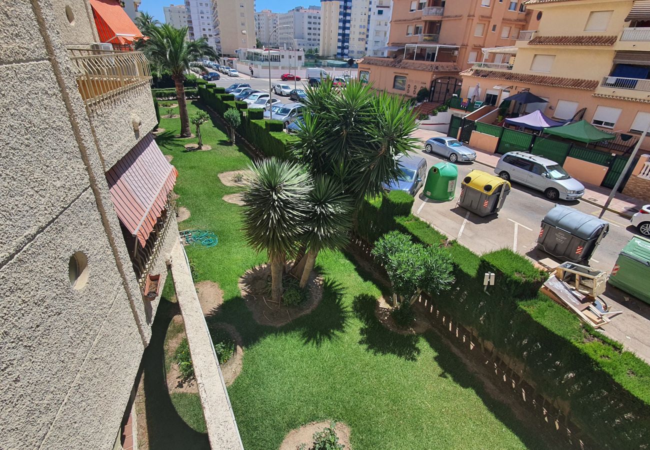 Apartamento en Gandia - ROMA XI - 2ª - 2º - 4ª   /    PLAYA DE GANDIA