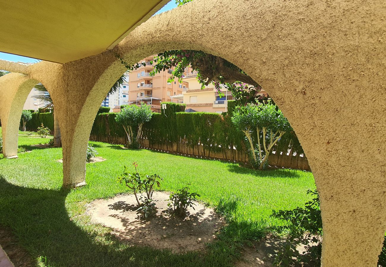 Apartamento en Gandia - ROMA XI - 2ª - 2º - 4ª   /    PLAYA DE GANDIA