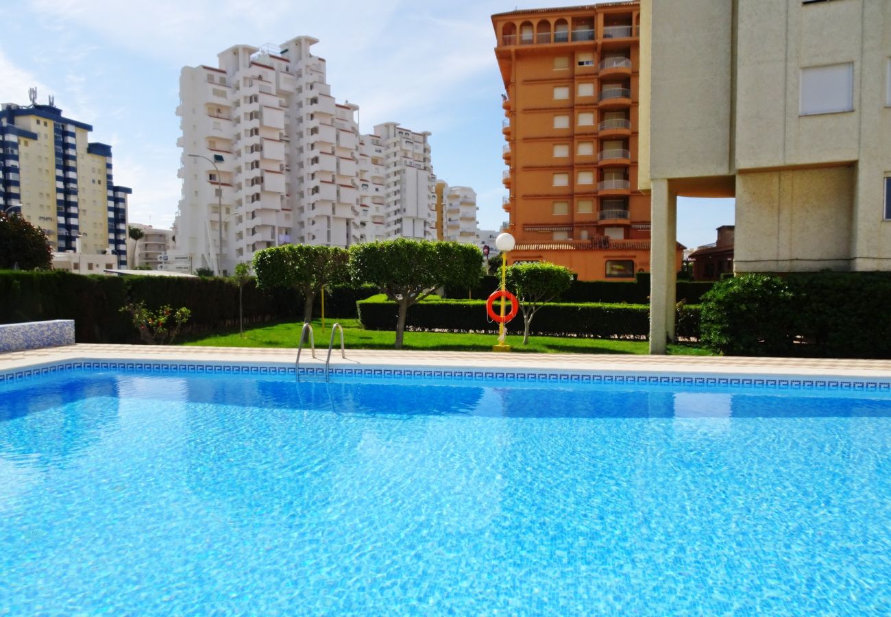 Apartamento en Gandia - ROMA XI - 2ª - 2º - 4ª   /    PLAYA DE GANDIA