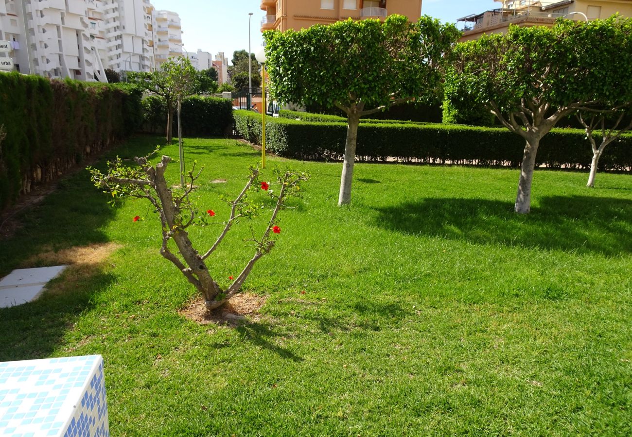 Apartamento en Gandia - ROMA XI - 2ª - 2º - 4ª   /    PLAYA DE GANDIA