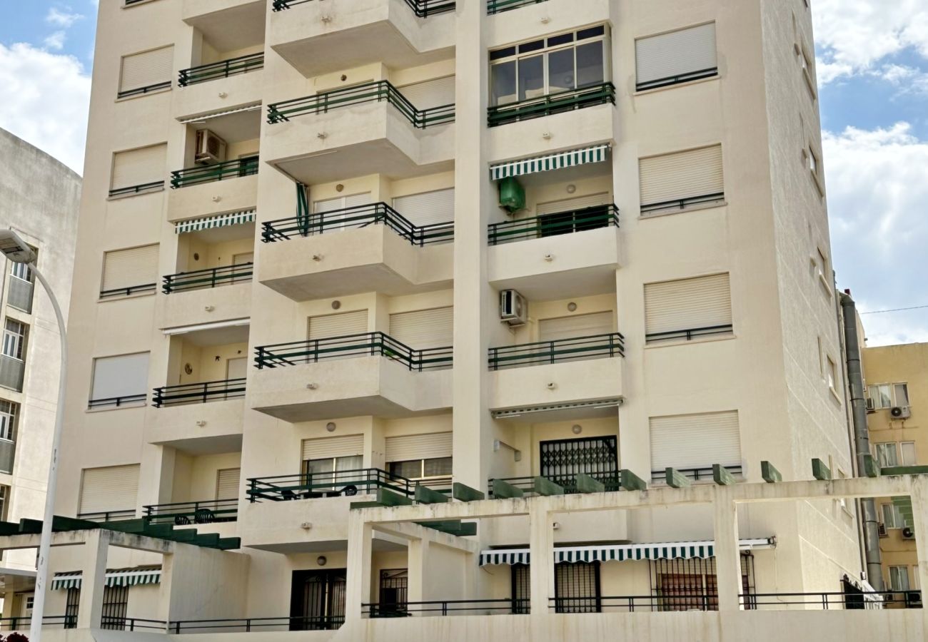 Apartamento en Gandia - MIKONOS III - 1 - 2 - 4   /   PLAYA DE GANDIA