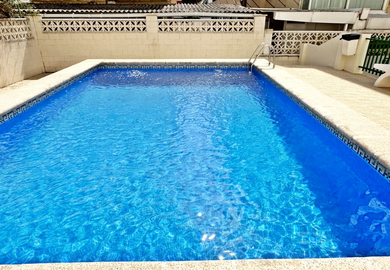 Apartamento en Gandia - MIKONOS III - 1 - 2 - 4   /   PLAYA DE GANDIA