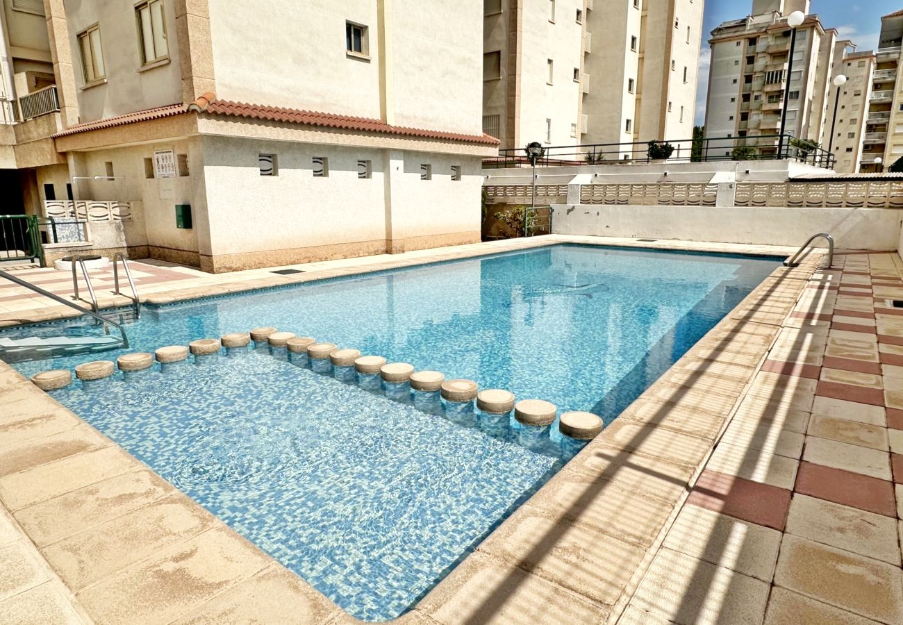 Apartamento en Gandia - JARDIN IX - 1ª - 3º - A    /   PLAYA DE GANDIA