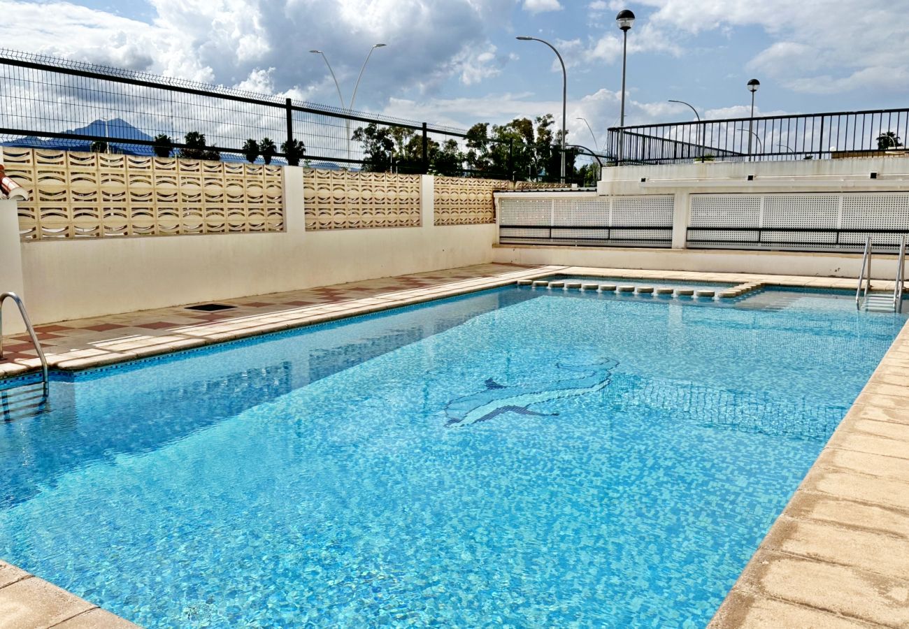 Apartamento en Gandia - JARDIN IX - 1ª - 3º - A    /   PLAYA DE GANDIA