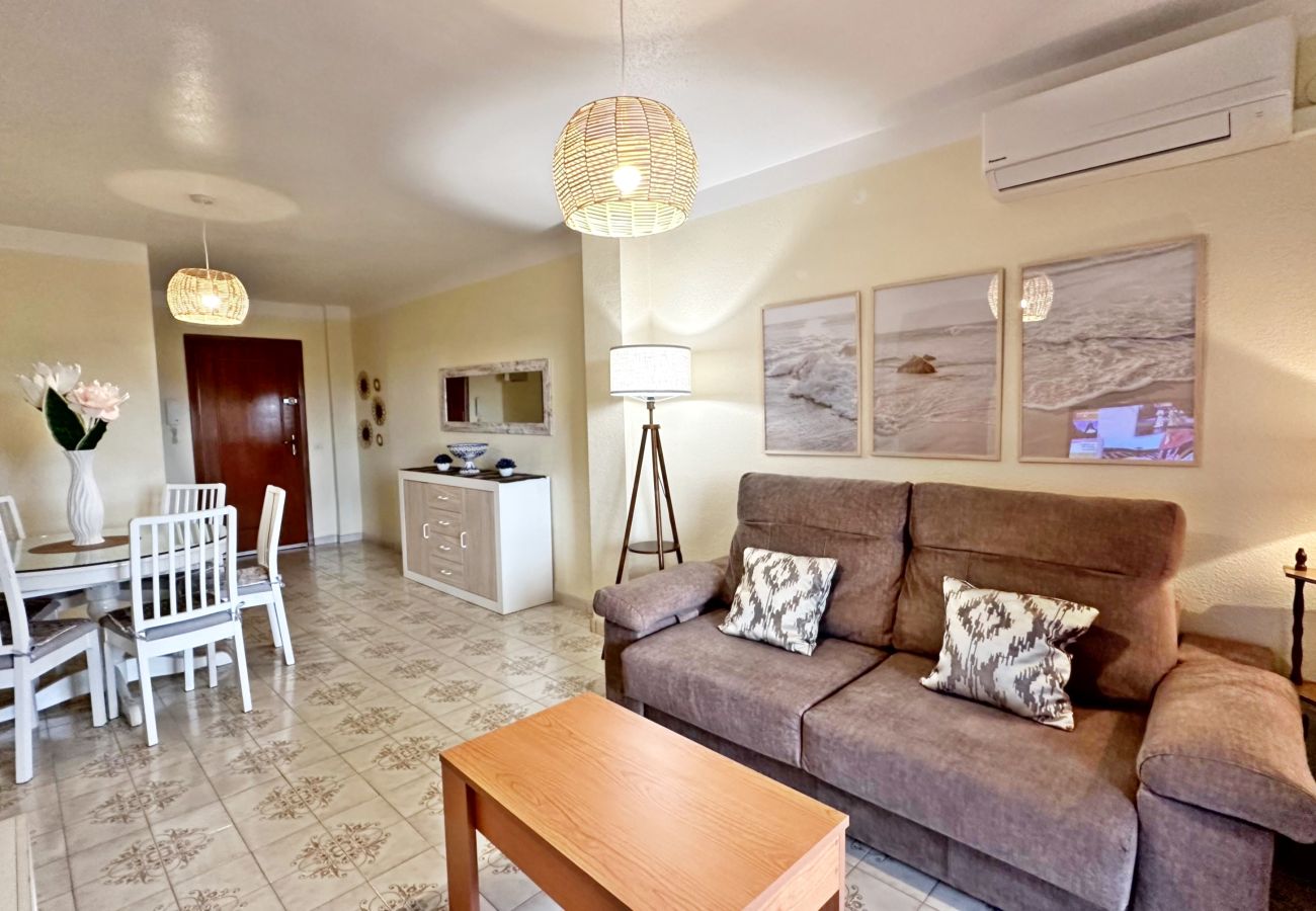 Apartamento en Gandia - LOS IRIS TORRE 4º - 13    /    PLAYA DE GANDIA