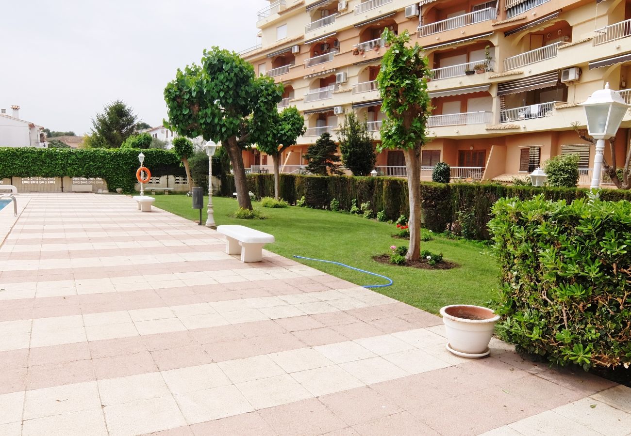 Apartamento en Gandia - LOS IRIS TORRE 4º - 13    /    PLAYA DE GANDIA