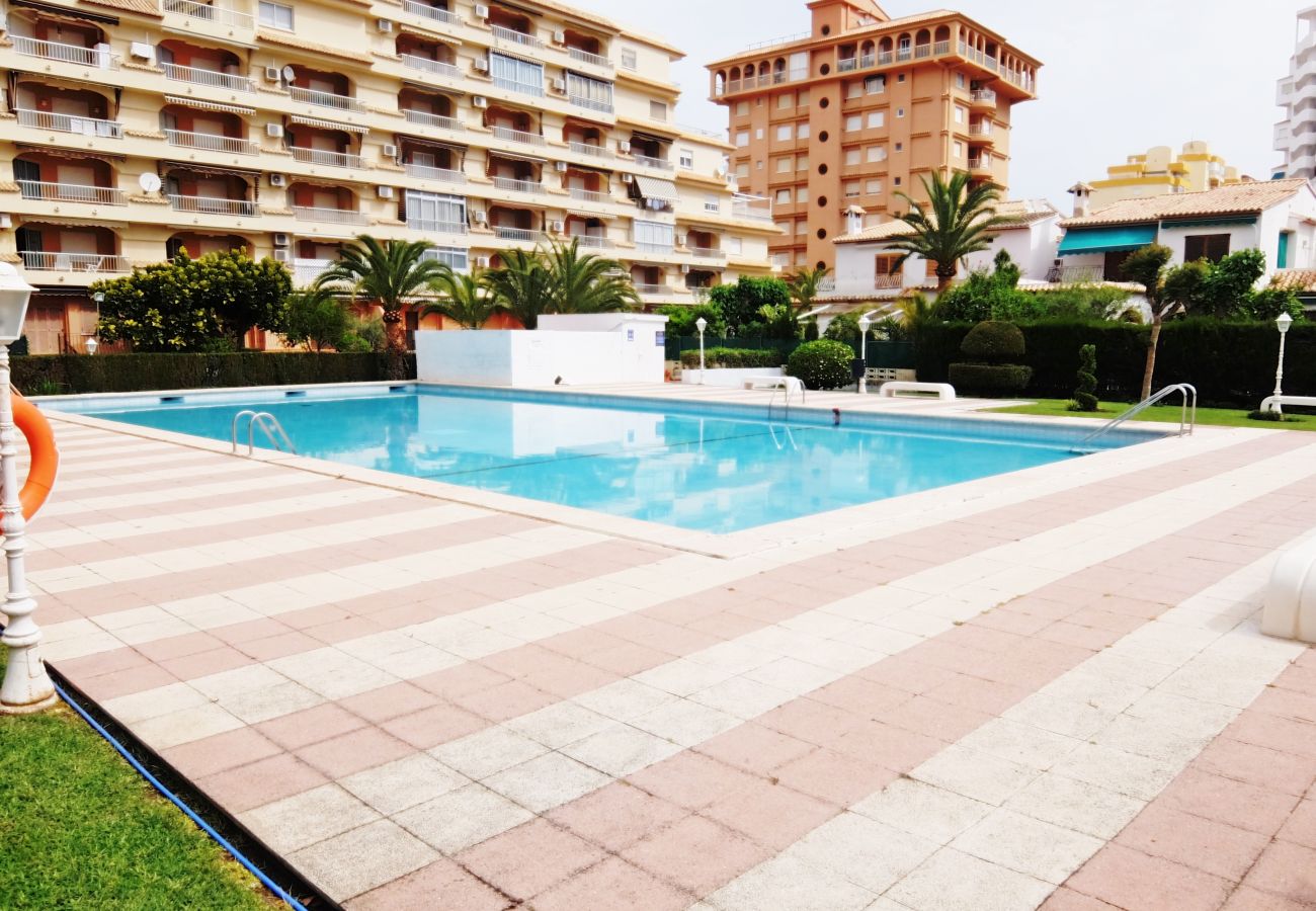 Apartamento en Gandia - LOS IRIS TORRE 4º - 13    /    PLAYA DE GANDIA