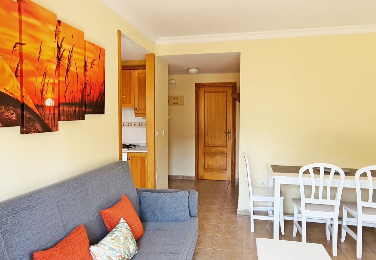 Apartamento en Xeraco - LOS JUNCOS  11ª - 00 - 45ª    /    PLAYA DE XERACO