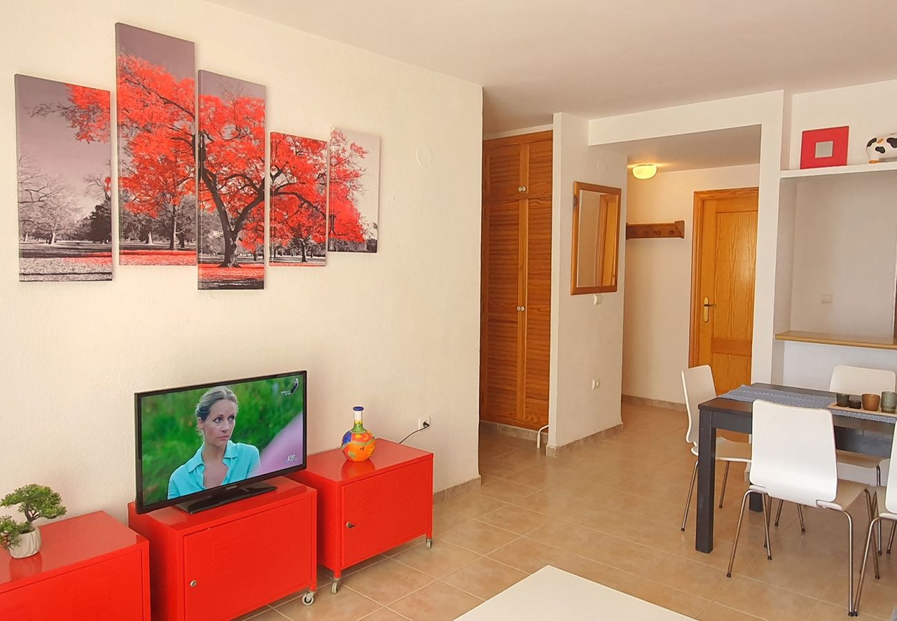 Apartamento en Xeraco - LOS JUNCOS 5ª - 2º - 17    /    PLAYA DE XERACO