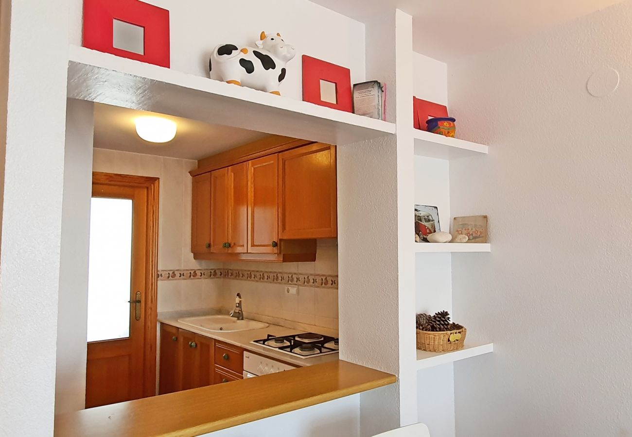 Apartamento en Xeraco - LOS JUNCOS 5ª - 2º - 17    /    PLAYA DE XERACO
