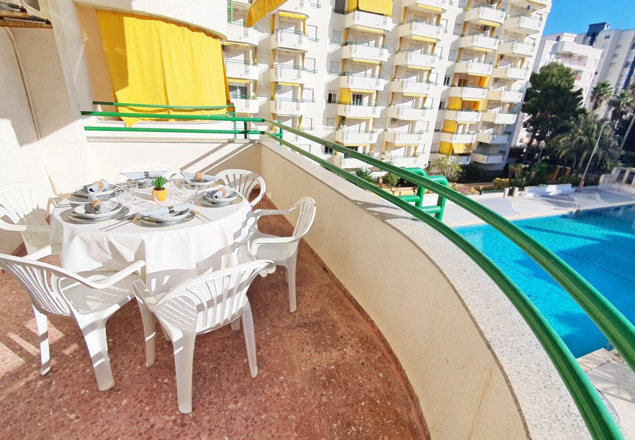Apartamento en Gandia - CANCUN VII - 2ª - 3º - J    /    PLAYA DE GANDIA