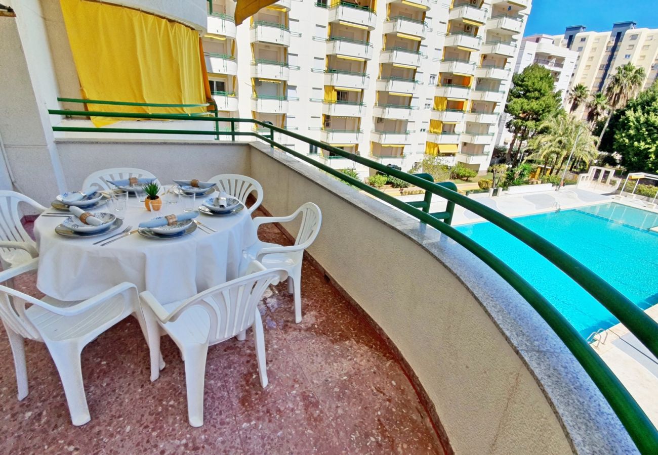 Apartamento en Gandia - CANCUN VII - 2ª - 3º - J    /    PLAYA DE GANDIA