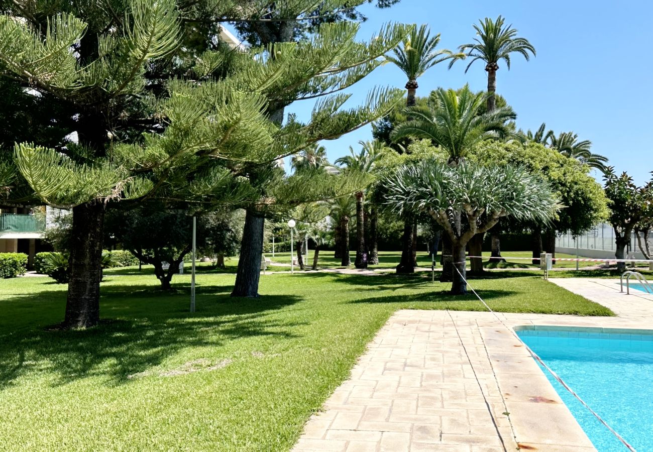Apartamento en Gandia - PARQUE SAN JORDI F2 - 1ª - 1º - 101   /   PLAYA DE GANDIA