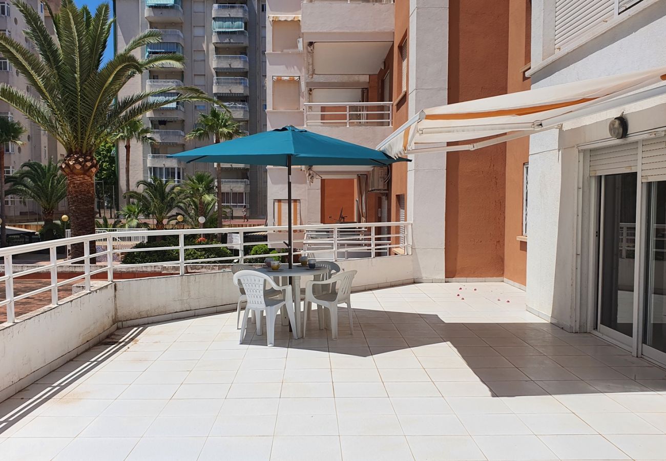 Apartamento en Gandia - LAS ALONDRAS B - 1º - 1ª    /   PLAYA DE GANDIA