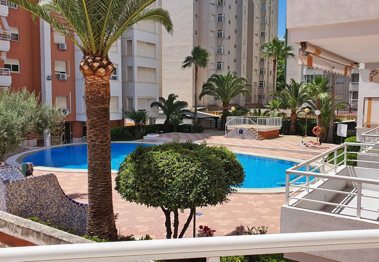 Apartamento en Gandia - LAS ALONDRAS B - 1º - 1ª    /   PLAYA DE GANDIA