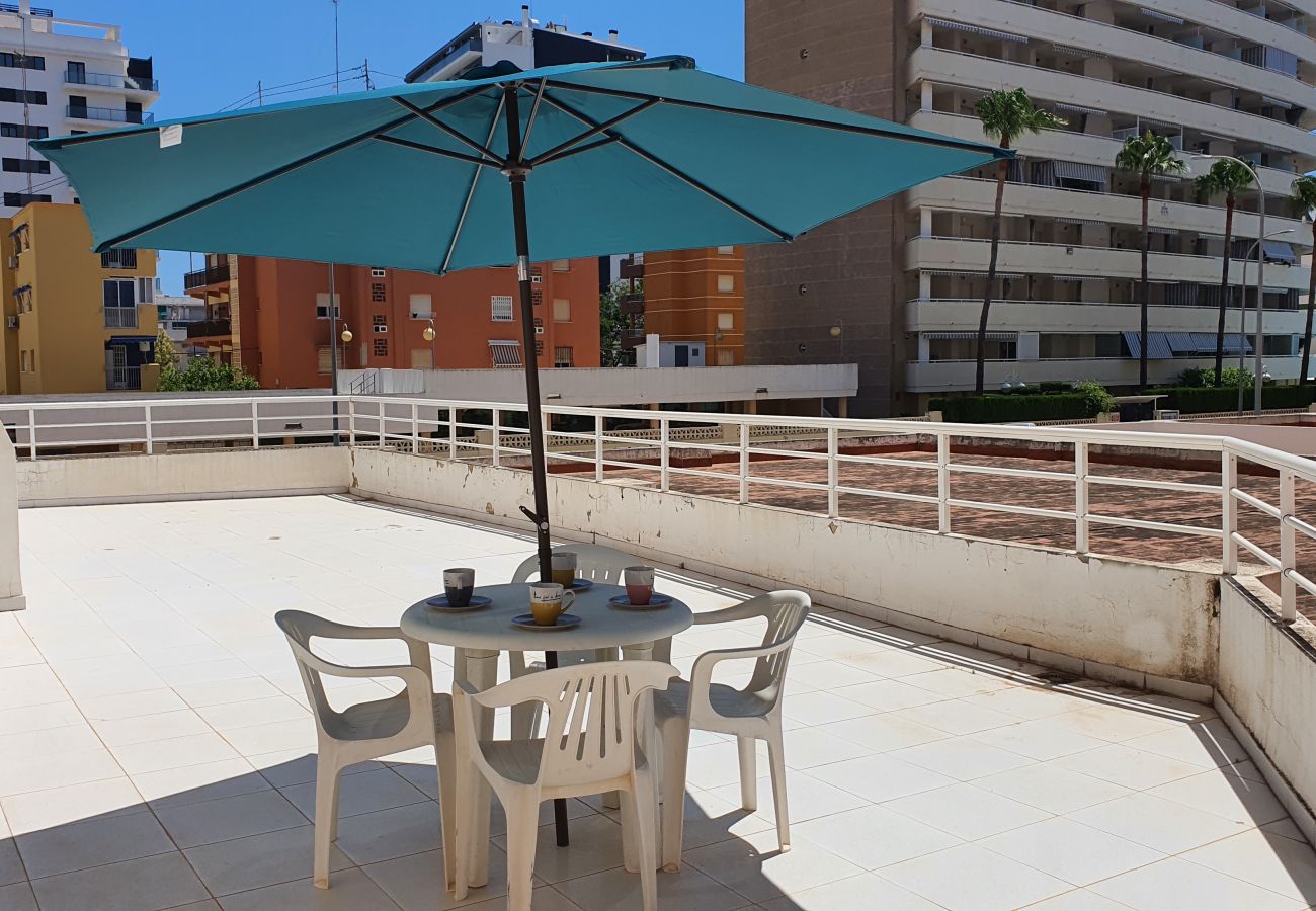 Apartamento en Gandia - LAS ALONDRAS B - 1º - 1ª    /   PLAYA DE GANDIA