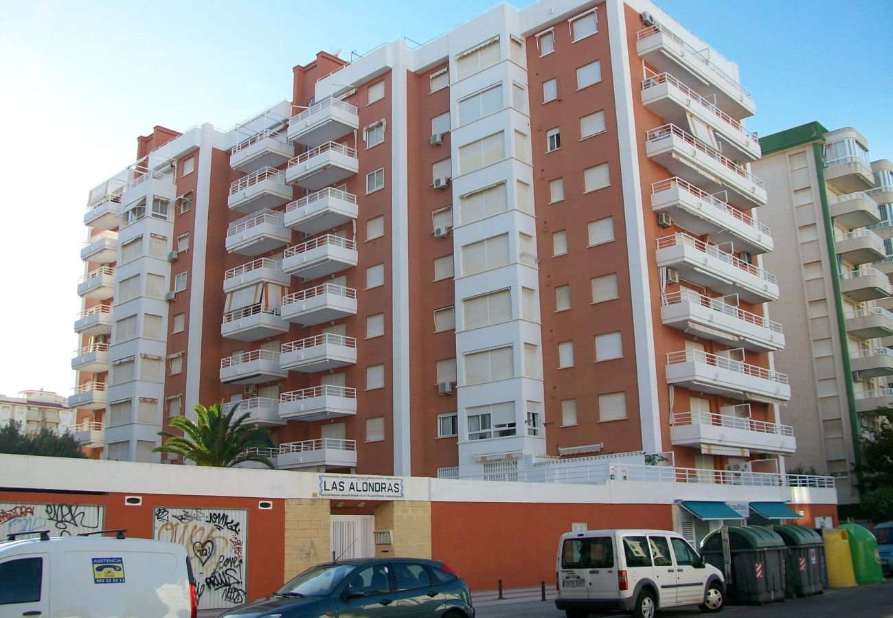Apartamento en Gandia - LAS ALONDRAS B - 1º - 1ª    /   PLAYA DE GANDIA