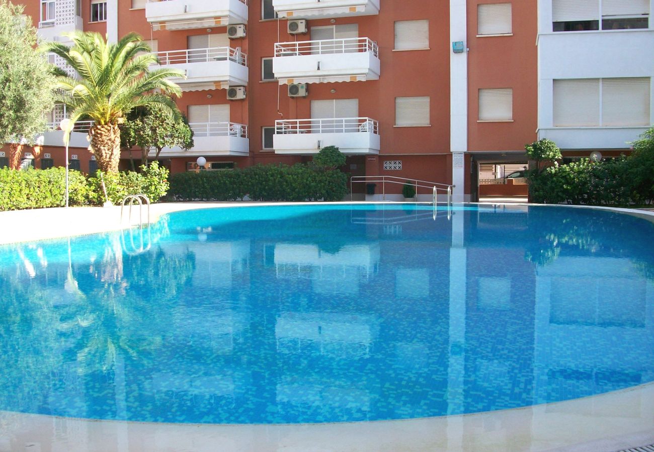 Apartamento en Gandia - LAS ALONDRAS B - 1º - 1ª    /   PLAYA DE GANDIA