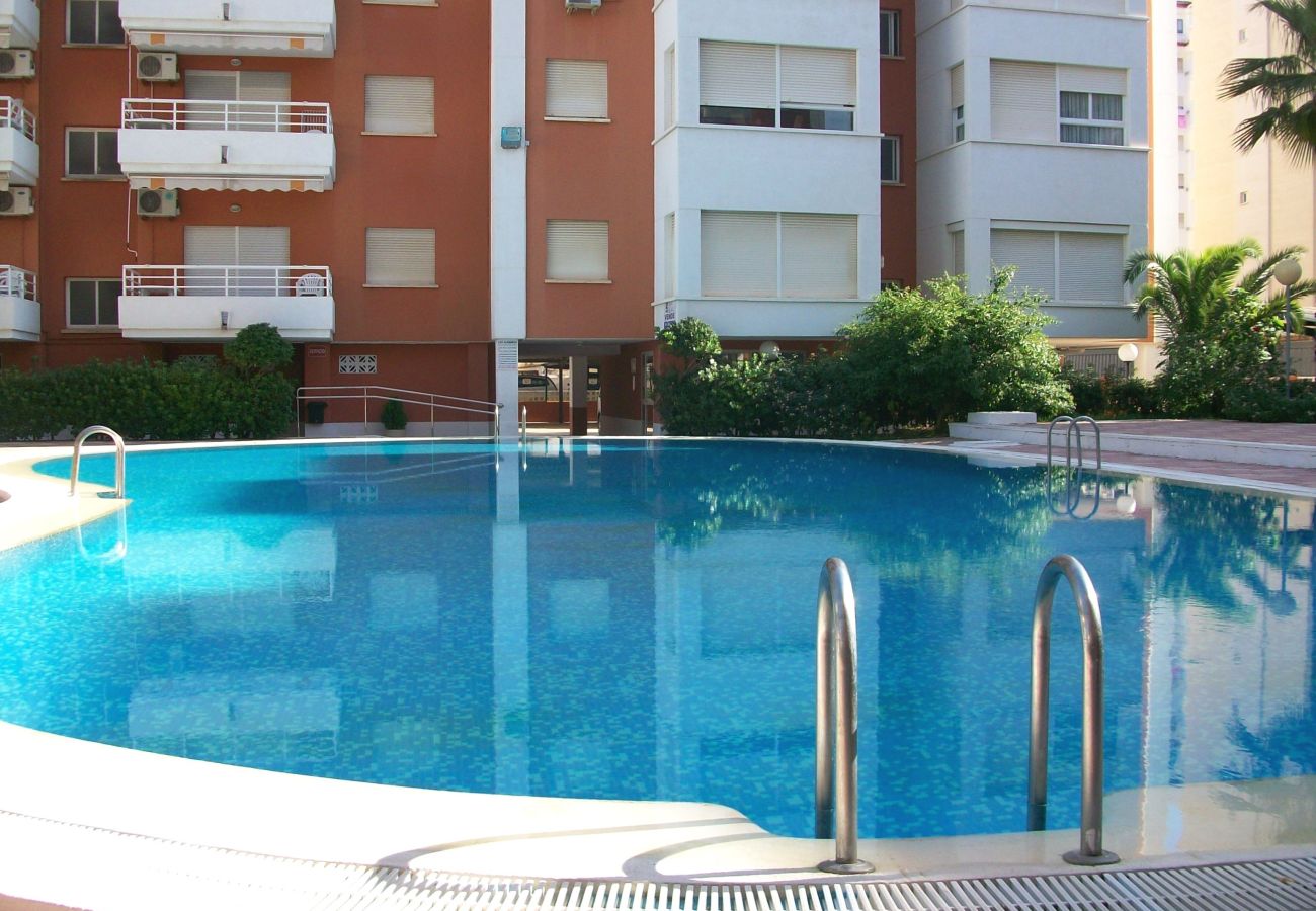 Apartamento en Gandia - LAS ALONDRAS B - 1º - 1ª    /   PLAYA DE GANDIA