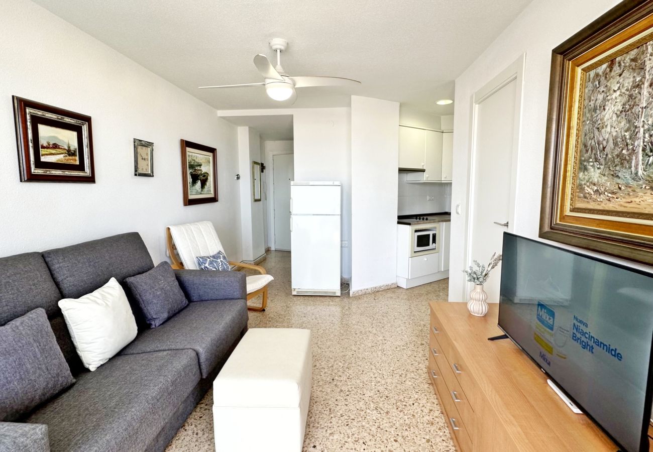 Apartamento en Gandia - INFANTE E3 - 1º    /    PLAYA DE GANDIA