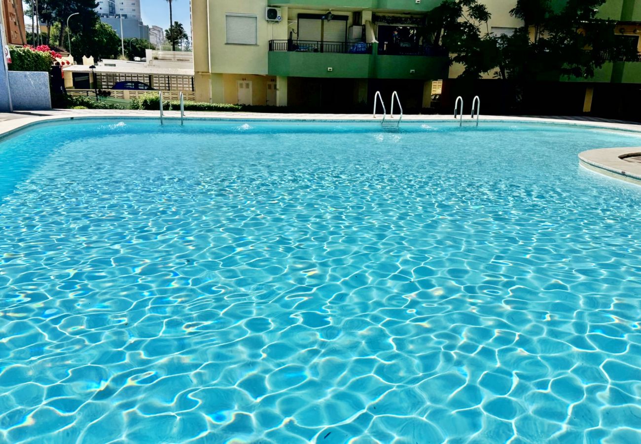 Apartamento en Gandia - GARDENIAS II - Bl 2 - 1º - D    /   PLAYA DE GANDIA