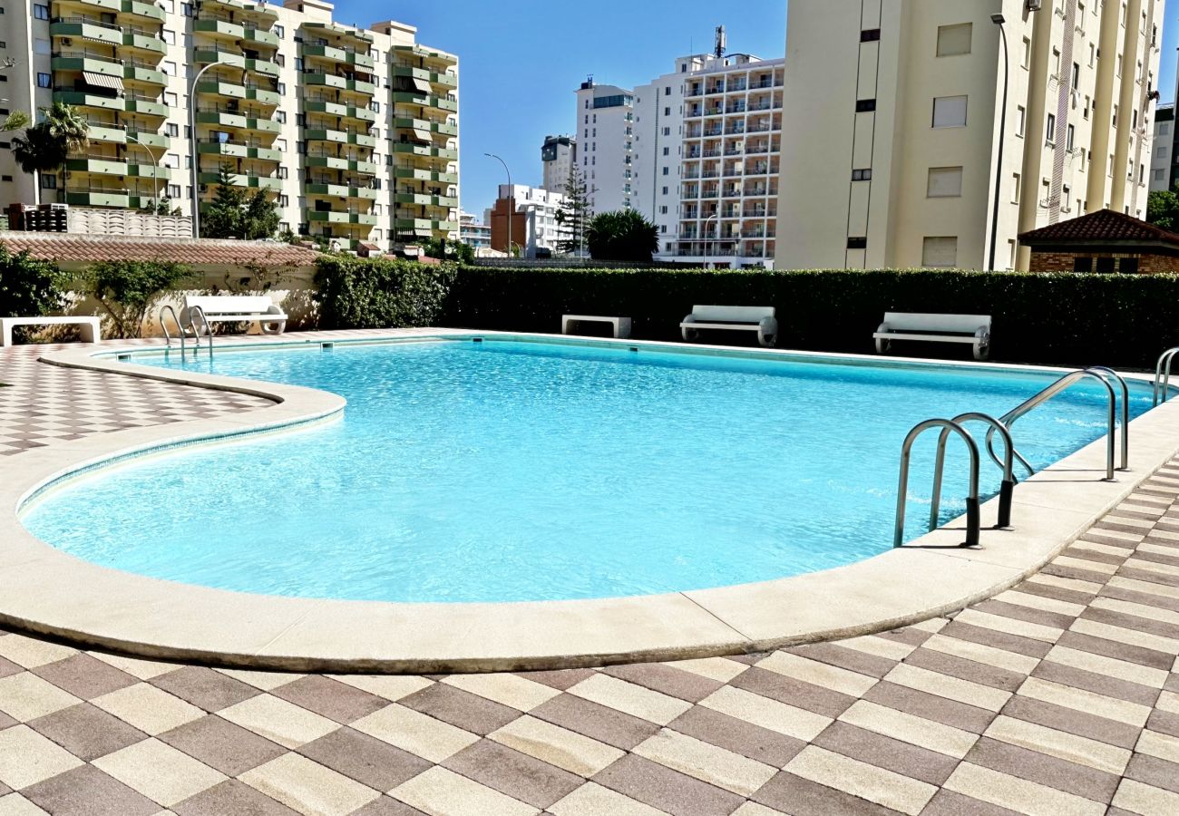 Apartamento en Gandia - GARDENIAS II - Bl 2 - 1º - D    /   PLAYA DE GANDIA