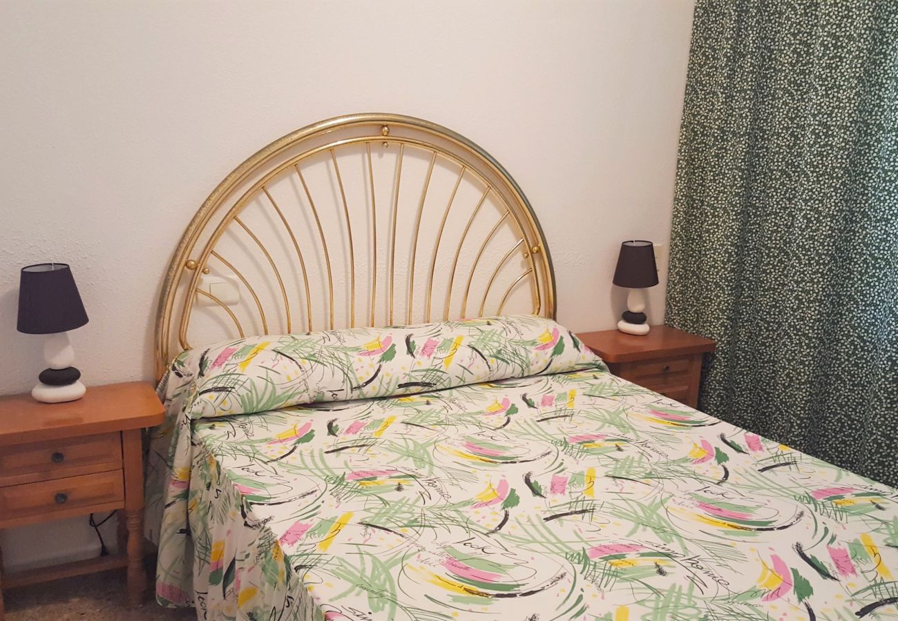 Apartamento en Gandia - XIPHO 5º - C    /    PLAYA DE GANDIA