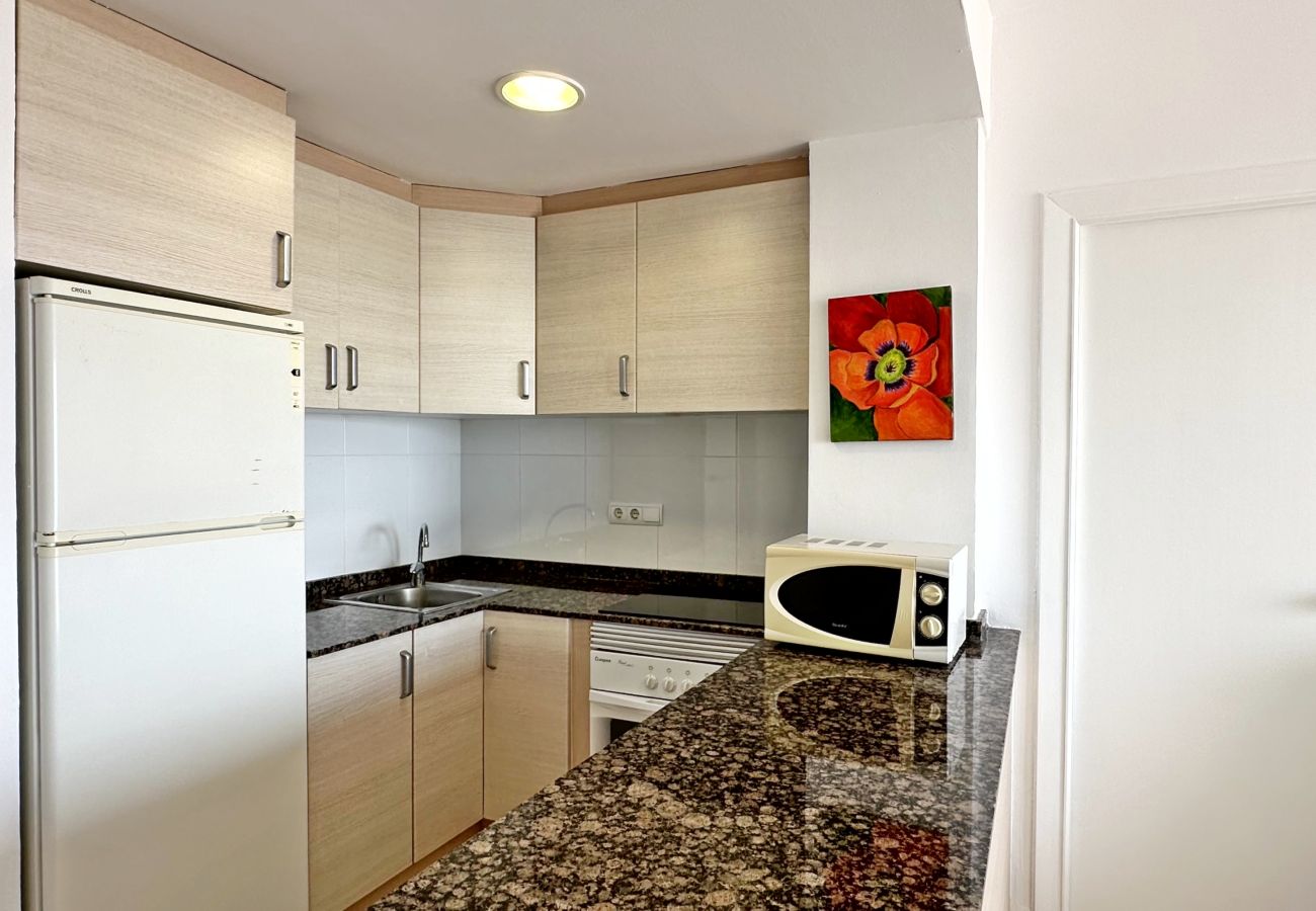 Apartamento en Gandia - INFANTE E1 - 5º    /    PLAYA DE GANDIA