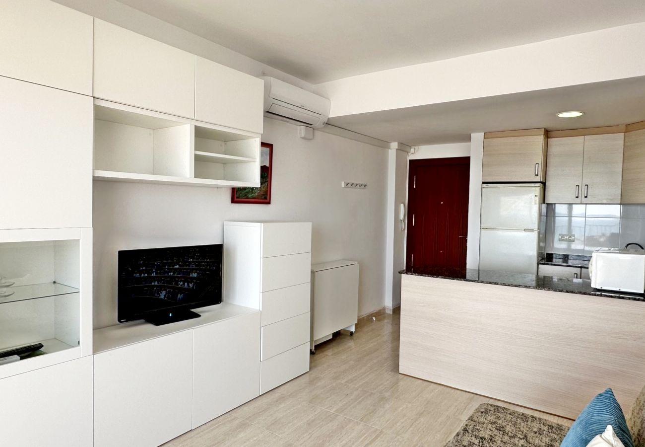 Apartamento en Gandia - INFANTE E1 - 5º    /    PLAYA DE GANDIA