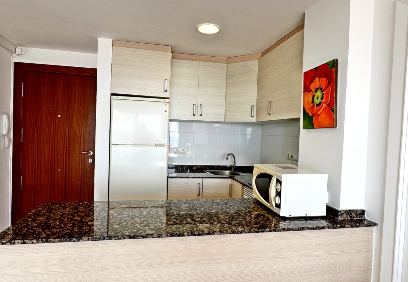 Apartamento en Gandia - INFANTE E1 - 5º    /    PLAYA DE GANDIA